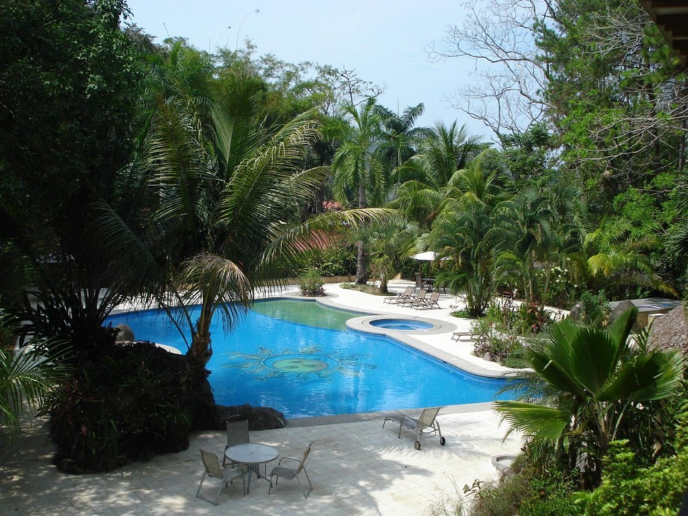 The pool and gardens
