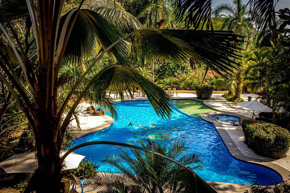 The pool seen from above