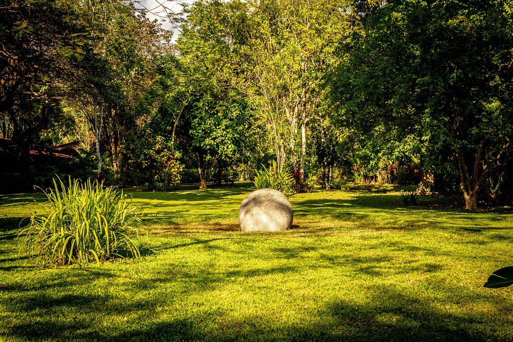 The garden lawn