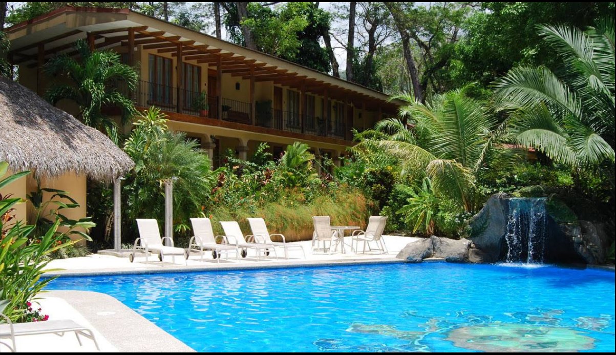La piscina, las palmeras y el edificio de habitaciones